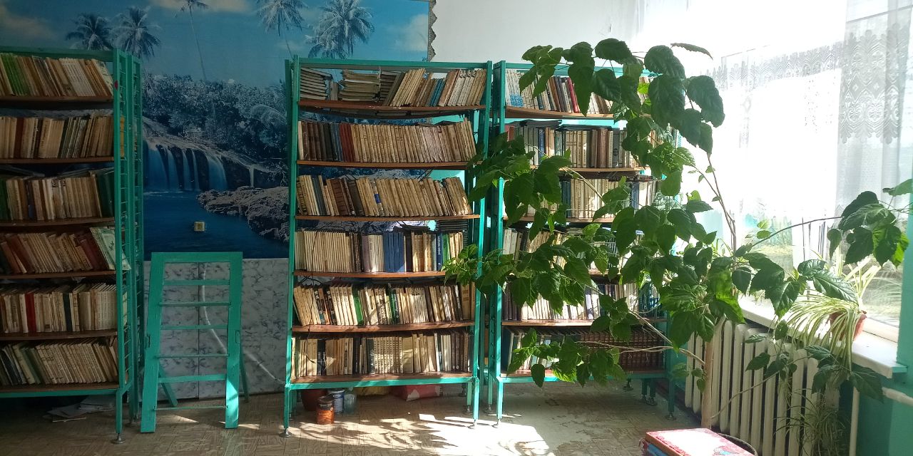 Изображения библиотеки.